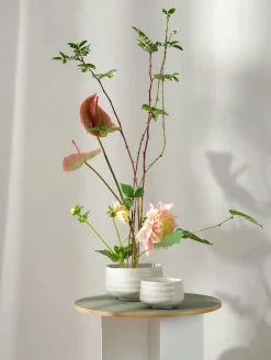 Clearance ASA Selection schale, hasu