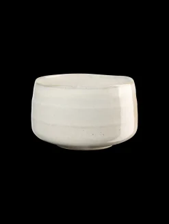 Best ASA Selection schale, hasu shiny