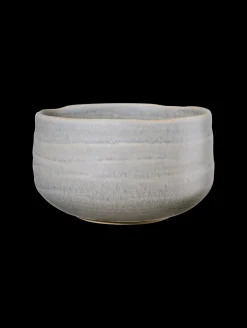 Online ASA Selection schale, ishi