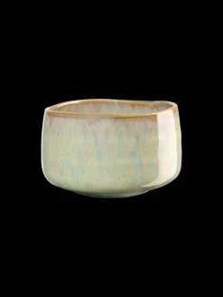 Sale ASA Selection schale, ishi shiny