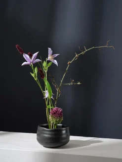 Online ASA Selection schale, kombu