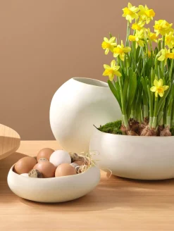 Hot ASA Selection schale, soft shell