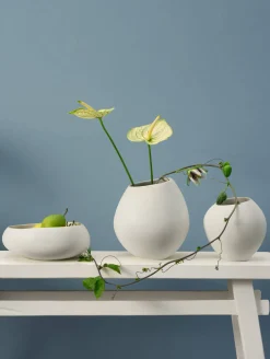 Clearance ASA Selection schale, soft shell