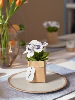 ASA Selection stiefmütterchen in papier, 6er set